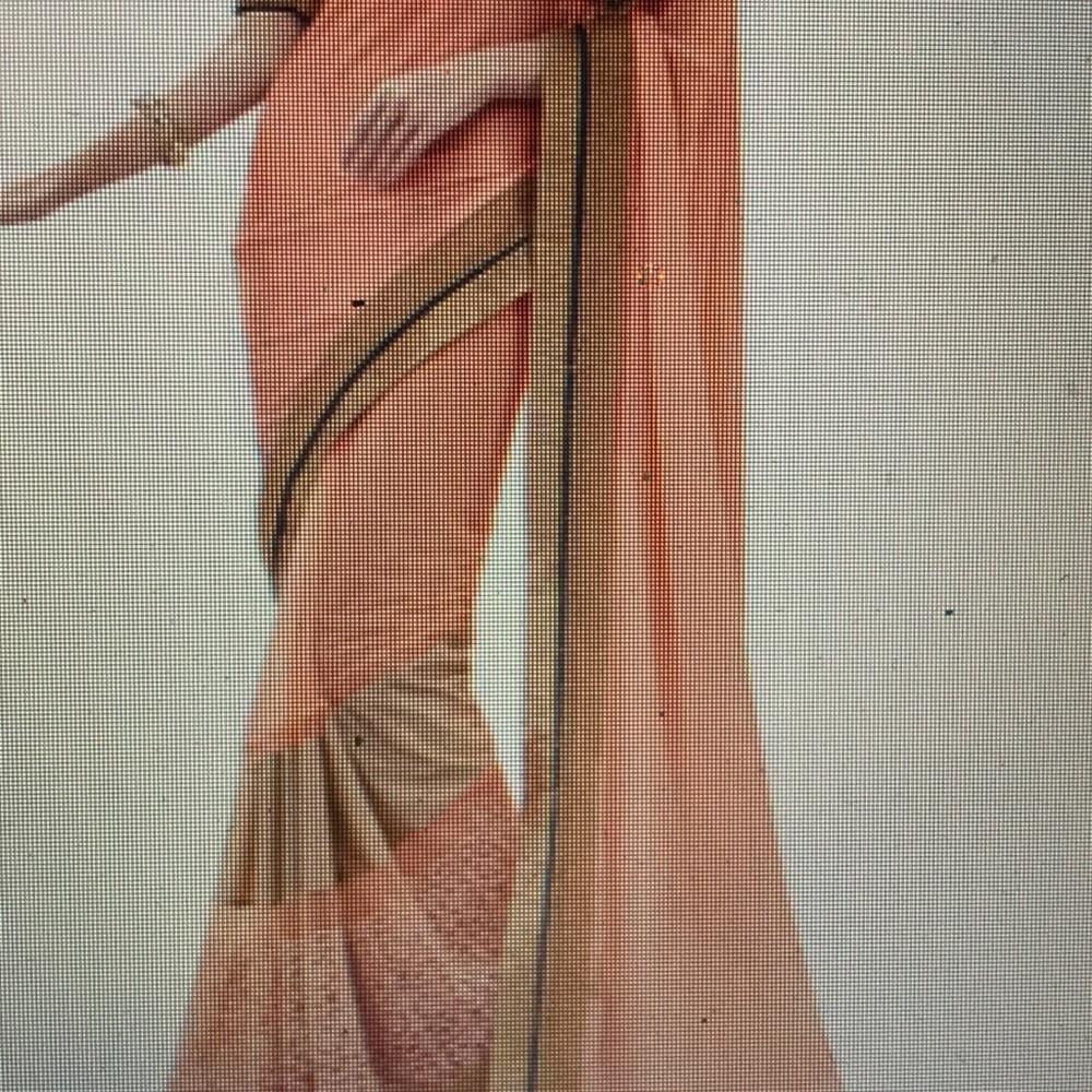 Peach saree